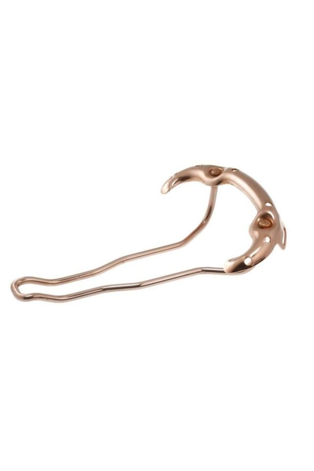 Brooks B17 Special Bakır Sele Bal Rengi B211 A17203